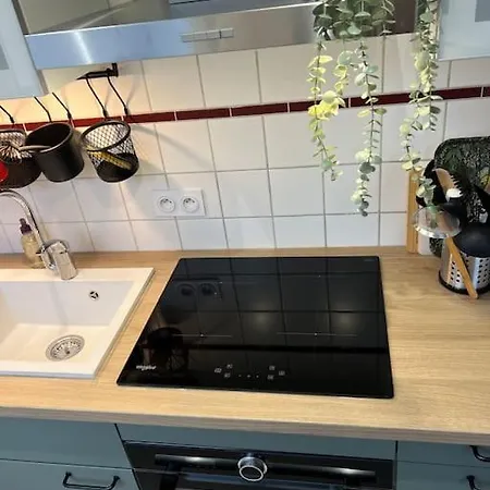 Apartment Adorable Neudorf Parking Sous Sol *